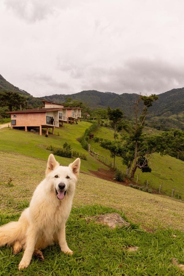 Pousada Terra Dos Passaros São Bento do Sapucaí Buitenkant foto