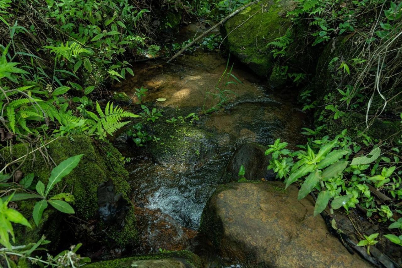 Pousada Terra Dos Passaros São Bento do Sapucaí Buitenkant foto