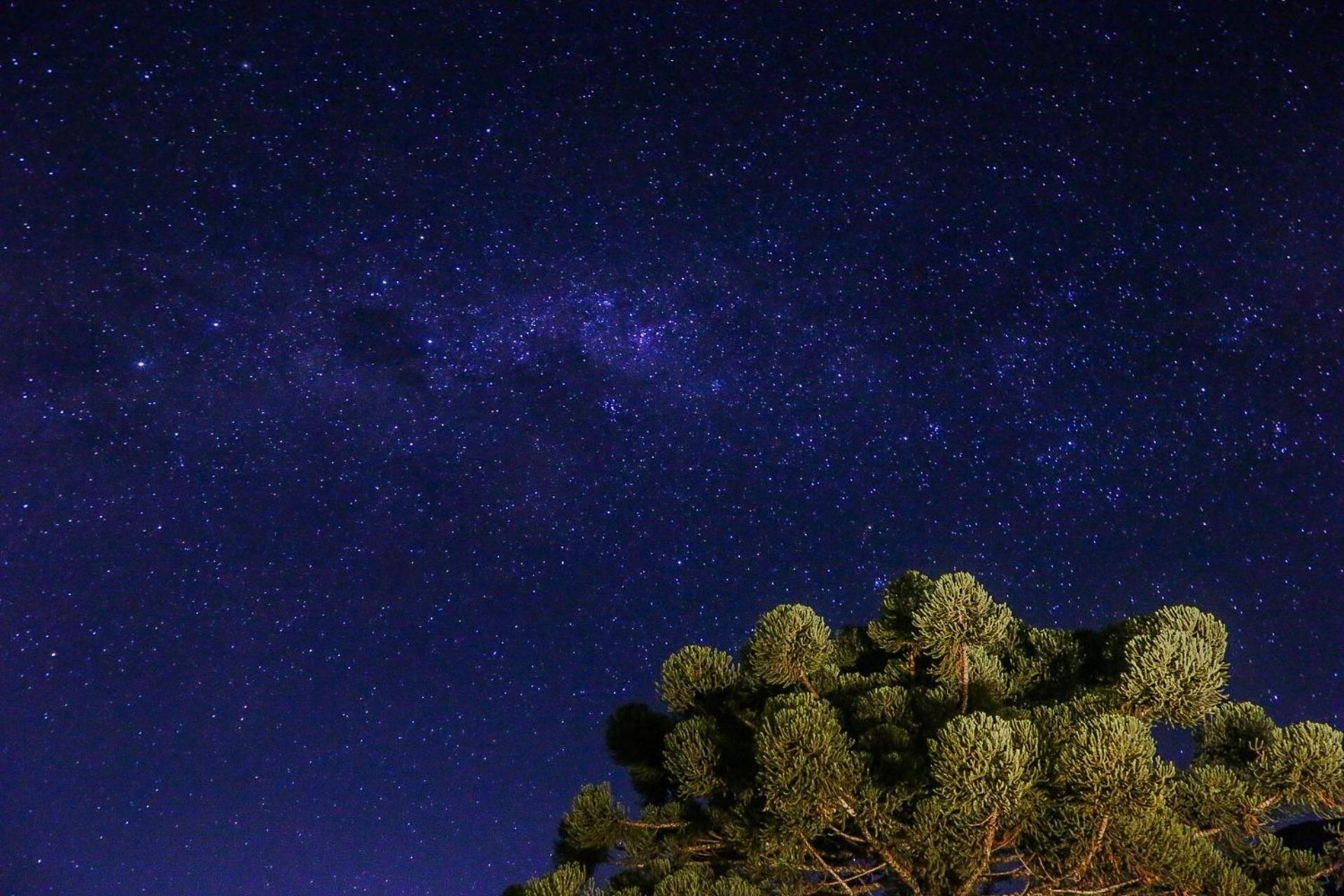Pousada Terra Dos Passaros São Bento do Sapucaí Buitenkant foto